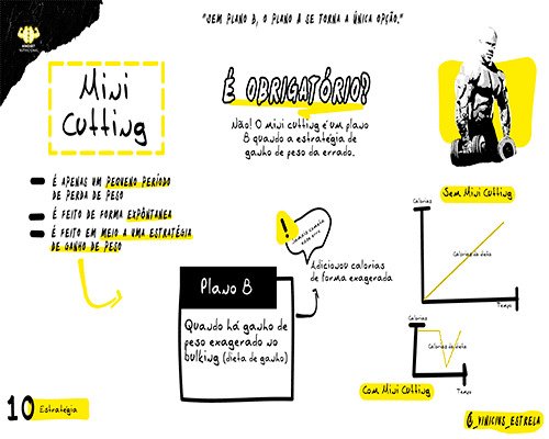 10- Mapa Mental - Mini Cutting (1)